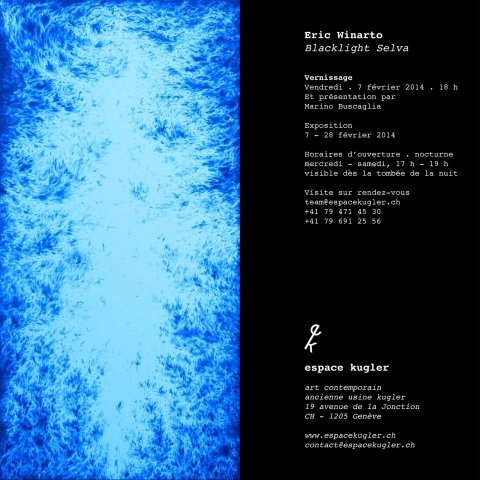 1 eric winarto ok carton espace kugler - copie