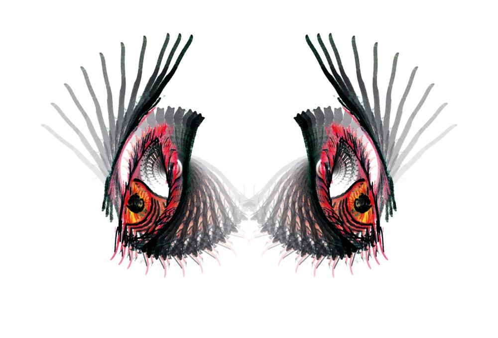 Double image