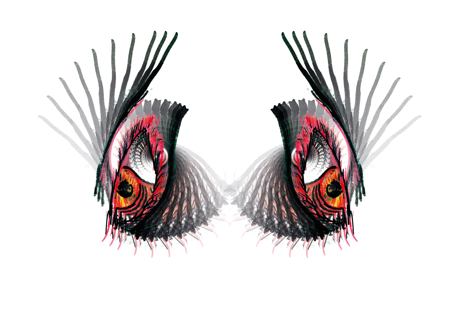 Double image